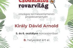 Kiraly-David-Arnold
