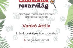Vanko-Attila